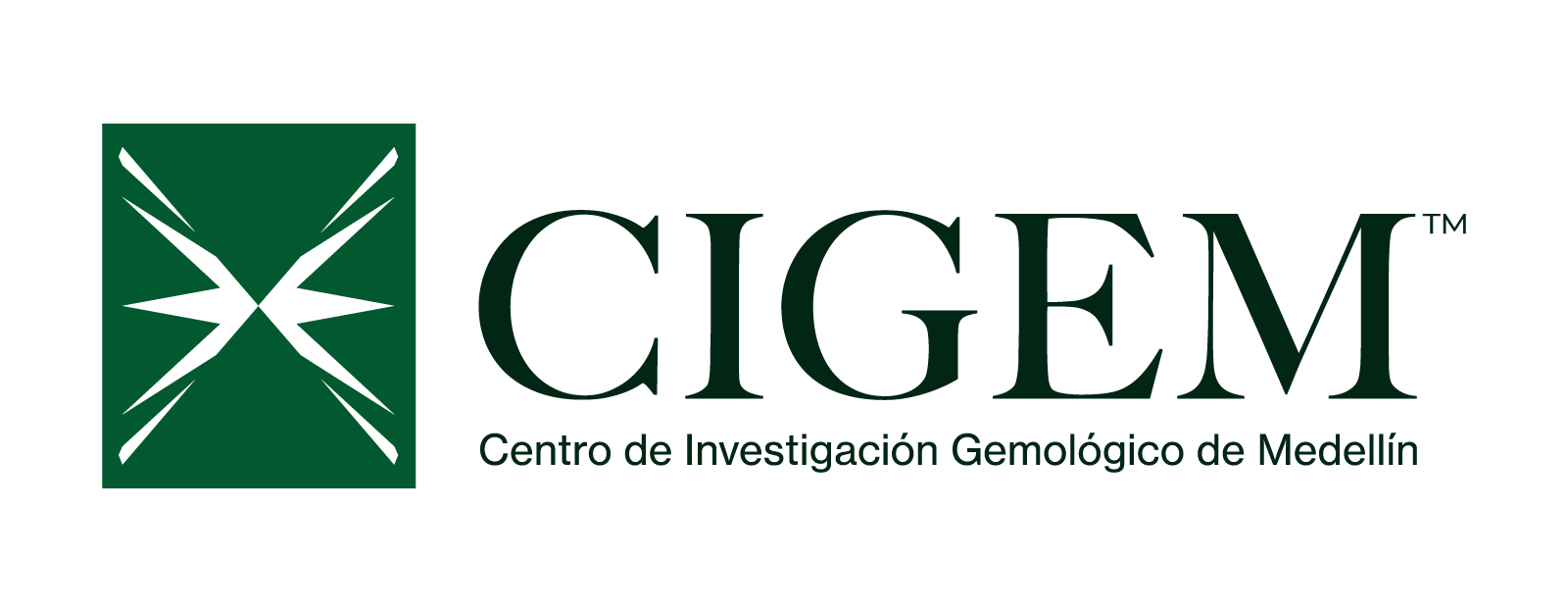 Logo Cigem